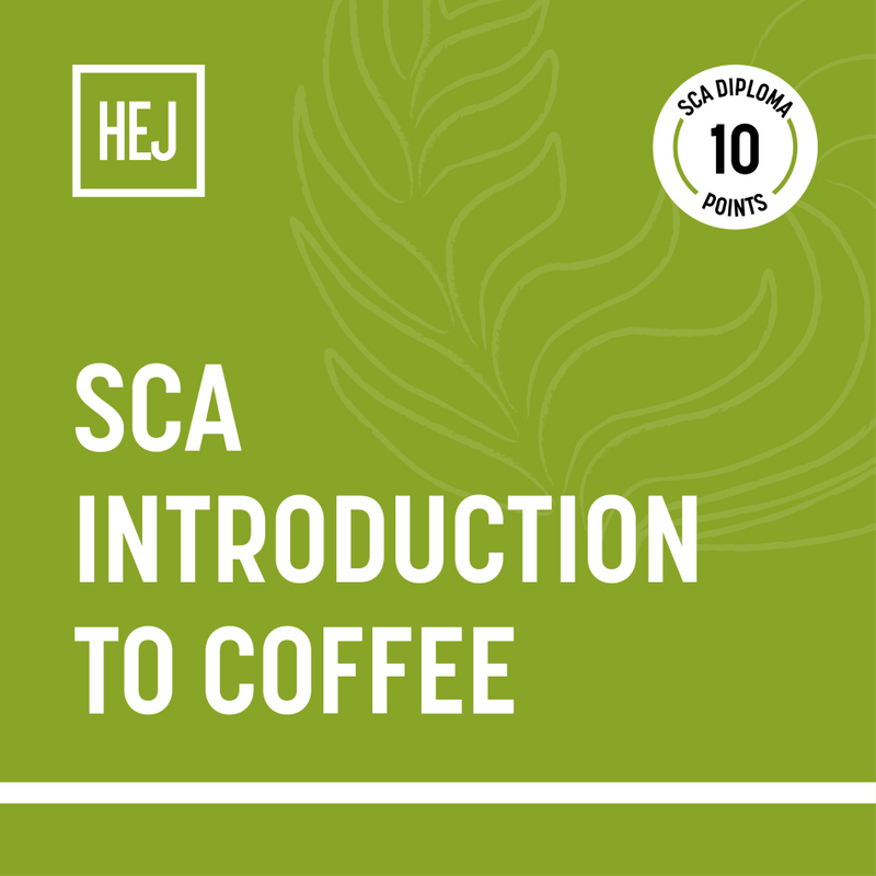 Introduction to Coffee